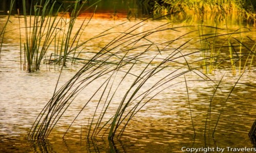 Zdj�cie CZECHY / Kraj Hradecki / Hradec Kralove / Zbli�a si� wiecz�r