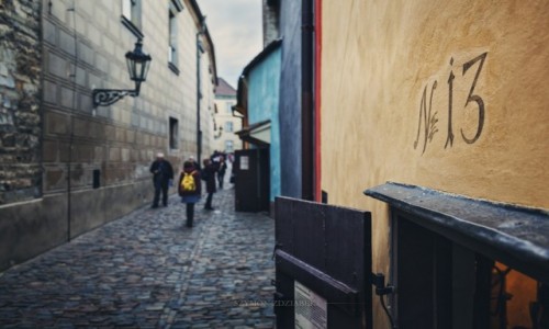 Zdjecie CZECHY / Praga / Hradczany / Zota uliczka