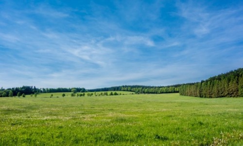 Zdjcie CZECHY / Kraj Hradecki / Adrpsach / Okolice skalnego miasta