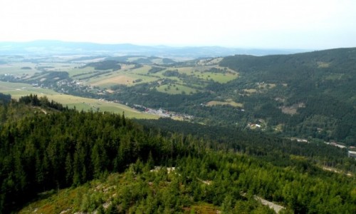 Zdjecie CZECHY / Wielka Morawa / Dolna / Dolna Morava