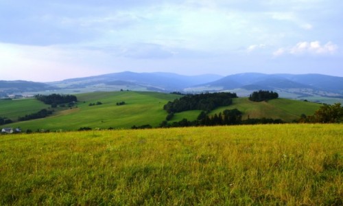 Zdjcie CZECHY / Kraj Pardubicki / Krlky / Masyw nienika