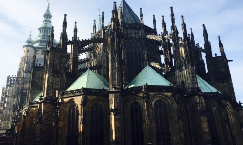 Zdjęcie CZECHY / Hradczany / Praga / Katedra