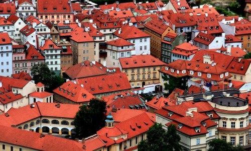 Zdj�cie CZECHY / Praga / Praga / Czerwone dachy Pragi