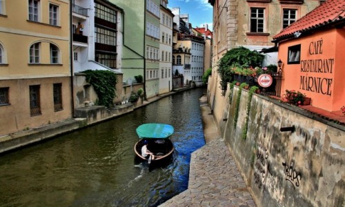 Zdjecie CZECHY / Praga / Kampa / Praska Wenecja