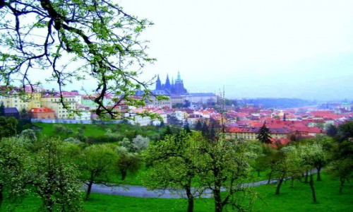 Zdjęcie CZECHY / Czechy Środkowe / Praga / Wiosenna Praga