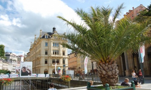 Zdjęcie CZECHY / Czechy / Karlovy Vary / Karlovy Vary (Karlowe Wary), Czechy. Przed Festiwalem Filmowym