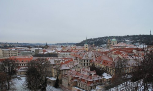 Zdjcie CZECHY / - / Praga / Dachy Pragi