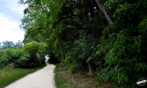 Zdjęcie CZECHY / Praga / Divoka Sarka / Droga W Zielone