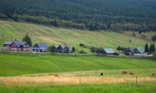 Zdjcie CZECHY / Karkonosze / na poudnie od Przeczy Okraj / zachmurzona Mala Upa...