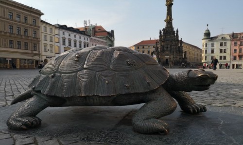 Zdjcie CZECHY / Morawy / Oomuniec / Wiosna nadchodzi te powoli