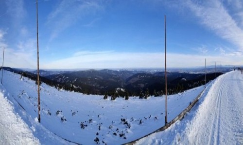 Zdj�cie CZECHY / kraj Morawsko- �l�ski / Mala Moravka, okolice / Na rozstaju dr�g