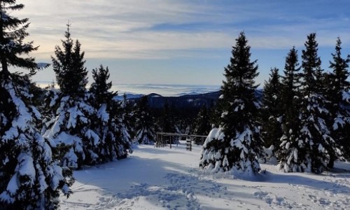 Zdj�cie CZECHY /  kraj Morawsko- �l�ski  /  Mala Moravka, okolice / Widok na g�ry