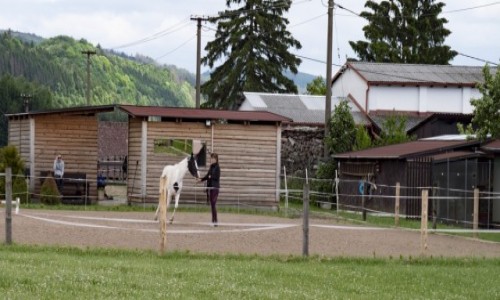 Zdjecie CZECHY / Náchod, w kraju hradeckim / Zdarky / Zdarky