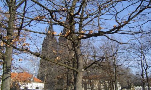 Zdjęcie CZECHY / Praga / Wyszehrad / Kościół Św. Piotra i Pawła