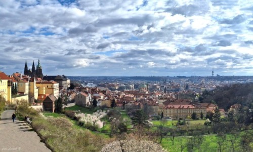 Zdjcie CZECHY / Praga. / Praga-Strahov. / Panorama ze wzgrza w Strahovie.
