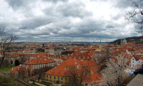 Zdjcie CZECHY / Praga. / Praga. / Czerwone dachy nad Hradczanami.