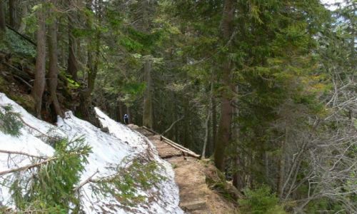 Zdjecie CZECHY / KARKONOSZE / OKOLICE ŚNIEŻKI-SZLAK DO PECU / GÓRSKIE KLIMATY