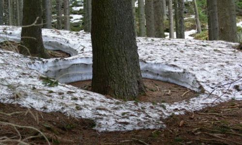 Zdjęcie CZECHY / SUDETY-KARKONOSZE / OKOLICE ŚNIEŻKI-SZLAK DO PECU / KONIEC ZIMY
