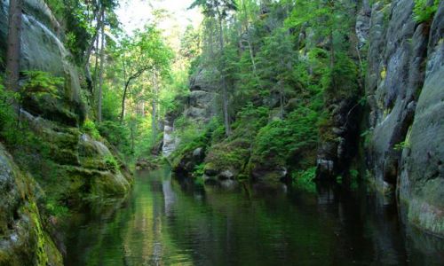 Zdjecie CZECHY / Teplicke skaly / Skalni mesto / Staw