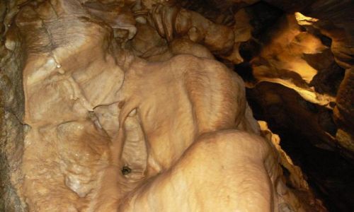 Zdjęcie CZECHY / MORAWY / JASKINIE NA POMEZI / JASKINIOWY CZAR  I MAŁY NIETOPERZ