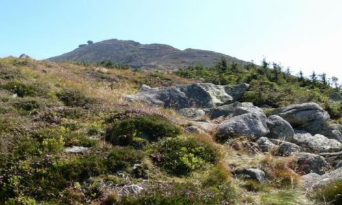 Zdjęcie CZECHY / SUDETY-KARKONOSZE / ŚNIEŻKA WIDOK Z UPSKIEGO KOTŁA / KARKONOSKIE   KLIMATY