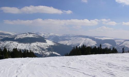 Zdjecie CZECHY / KARKONOSZE / SKI AREAL MEDWIEDIN / BIAŁE SZALEŃSTWO