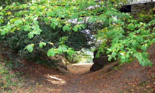 Zdjecie CZECHY / MORAWY- HRADEC NAD MORAWICĄ / PARK  WOKÓŁ ZAMKU / Romantyczne alejki dla zakochanych I