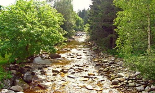 Zdjecie CZECHY / brak / Harrachov  / Rdzawy strumień