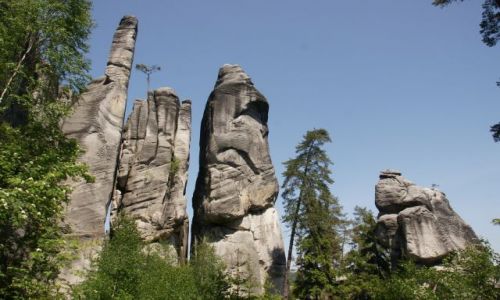 Zdjecie CZECHY / Skalne miasto / Adrszpaskie Skały / Adrszpaskie Skały I I