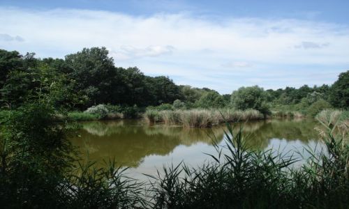 Zdjęcie CZECHY / Morawy / okolice Valtic / Krajobraz Lednicko-Valtickiego Arealu