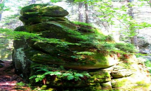 Zdjęcie CZECHY / kralowo-hradecki / Adrspach / Konkurs  - Olbrzym