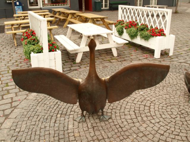 Zdjęcia: Akirkeby, wyspa Bornholm, Gęsi z Akirkeby., DANIA Zdjęcia: Akirkeby, wyspa Bornholm, Gęsi z Akirkeby., DANIA