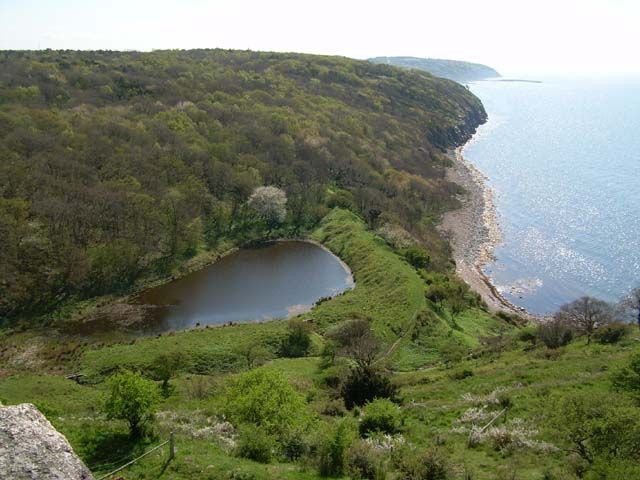 Zdjęcia: U podnóża Hammershus, Bornholm , DANIA Zdjęcia: U podnóża Hammershus, Bornholm , DANIA