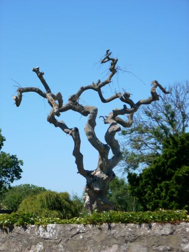 Zdjęcia: Olsker, Bornholm, Bornholm. Po hajne...?, DANIA Zdjęcia: Olsker, Bornholm, Bornholm. Po hajne...?, DANIA