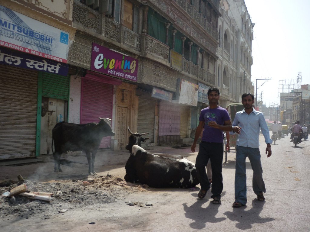 Zdjęcia: VARANASI, Indiowe no3, DANIA Zdjęcia: VARANASI, Indiowe no3, DANIA