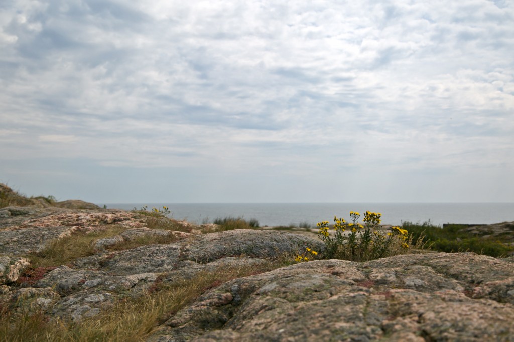 Zdjęcia: Christianso, Bornholm, Skalista sielanka, DANIA Zdjęcia: Christianso, Bornholm, Skalista sielanka, DANIA