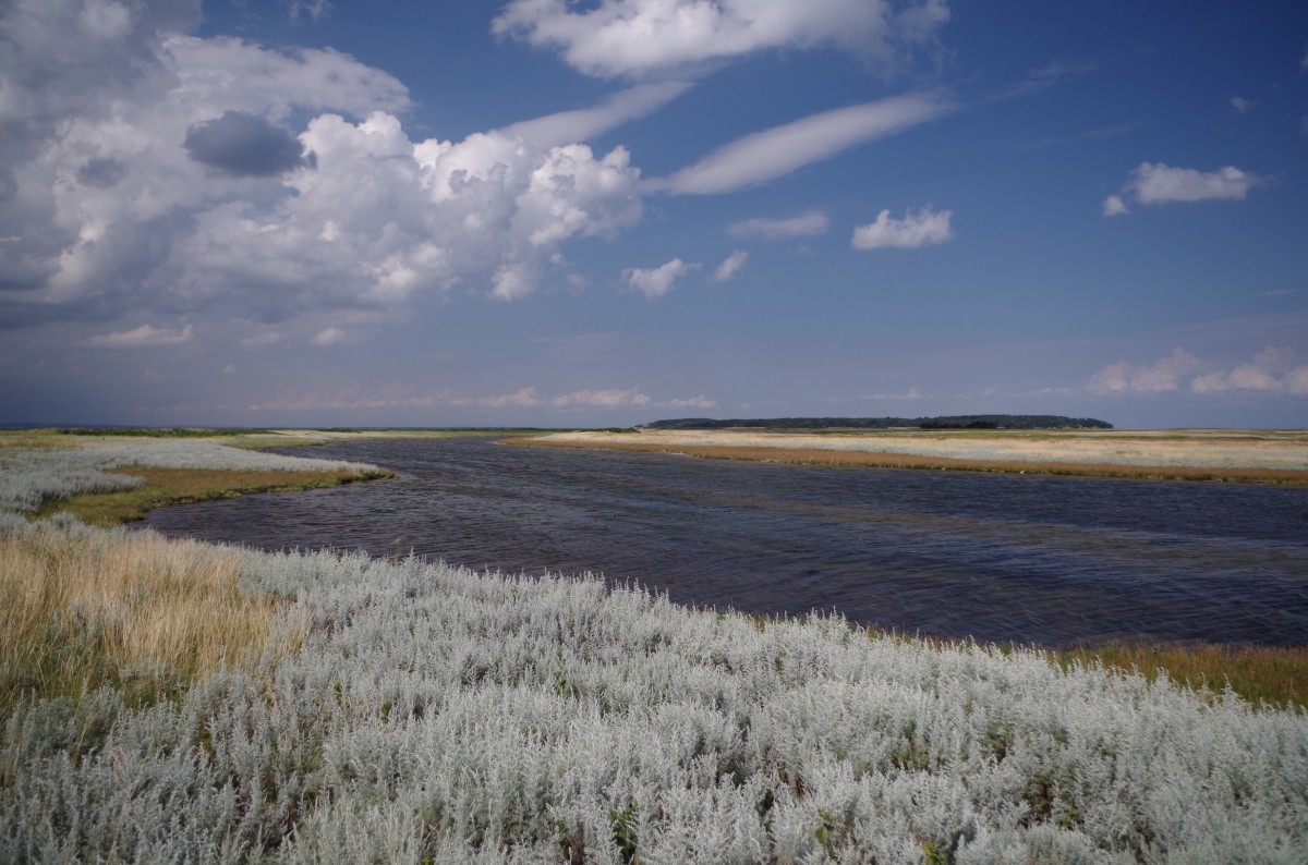 Zdjęcia: AEbelo Holm, Gmina Nordfyn, AEbelo Holm, DANIA Zdjęcia: AEbelo Holm, Gmina Nordfyn, AEbelo Holm, DANIA