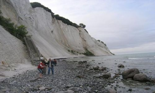 Zdjęcie DANIA / Mon / Mons Klint / Klify kredowe