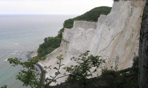 Zdjcie DANIA / Mon / Mons Klint / Klify kredowe