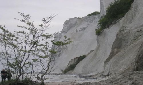 Zdjcie DANIA / Mon / Mons Klint / Klify kredowe