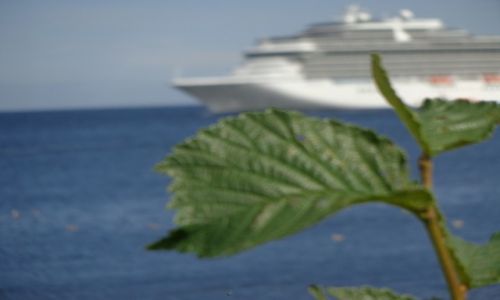 Zdjęcie DANIA / Wyspa Bornholm / trasa Arsdale - Svaneke / Wyprawa rowerowa Bornholm