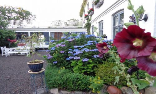 Zdjęcie DANIA / Wyspa Bornholm / Wioska na wyspie / Wyprawa rowerowa na Bornholm