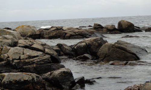 Zdjęcie DANIA / Wyspa Bornholm / rejon Ypnasted / Wyprawa rowerowa na Bornholm