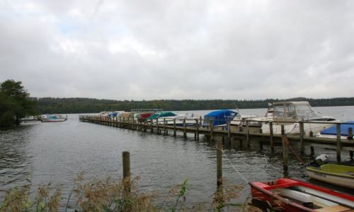 Zdjęcie DANIA / Jutlandia / Silkeborg / Poszukiwanie jesieni w Silkeborg