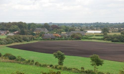 Zdjęcie DANIA / Jutlandia / Silkeborg / Poszukiwanie jesieni w Silkeborg