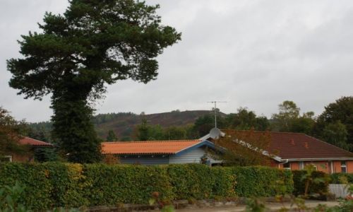 Zdjęcie DANIA / Jutlandia / Silkeborg / Poszukiwanie jesieni w Silkeborg