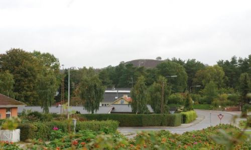 Zdjęcie DANIA / Jutlandia / Silkeborg / Poszukiwanie jesieni w Silkeborg