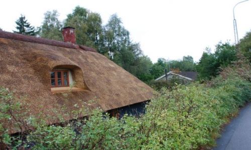 Zdjecie DANIA / Jutlandia / Silkeborg / Poszukiwanie jesieni w Silkeborg