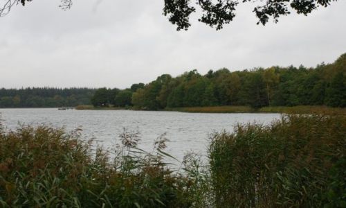 Zdjęcie DANIA / Jutlandia / Silkeborg / Poszukiwanie jesieni w Silkeborg