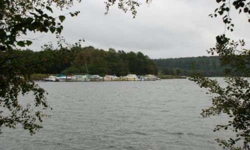 Zdjęcie DANIA / Jutlandia / Silkeborg / Poszukiwanie jesieni w Silkeborg
